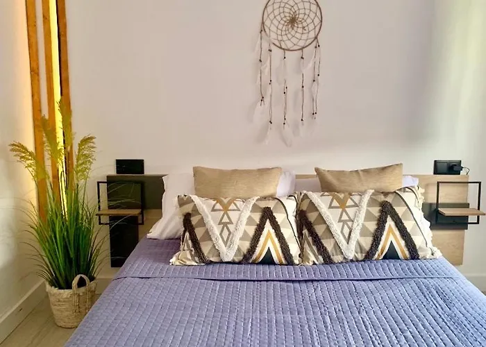 Grey House - Feel The Vibe Daire Vigo