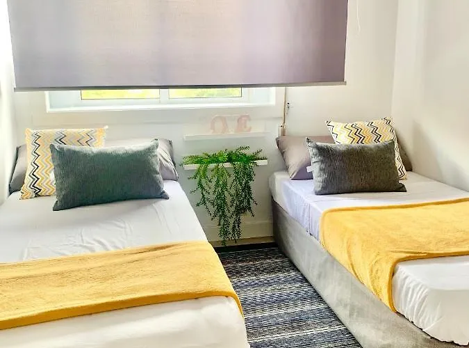 Grey House - Feel The Vibe Daire *