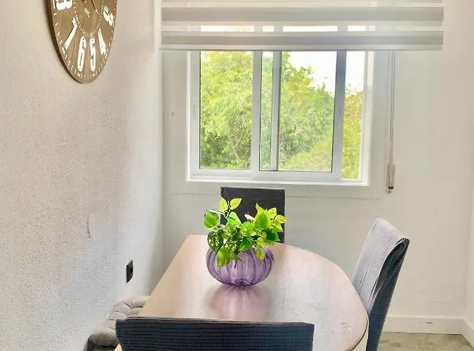 Daire Grey House - Feel The Vibe