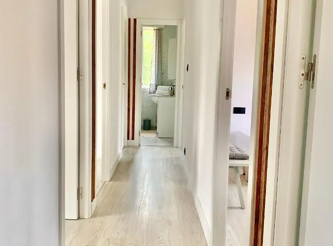 Daire Grey House - Feel The Vibe