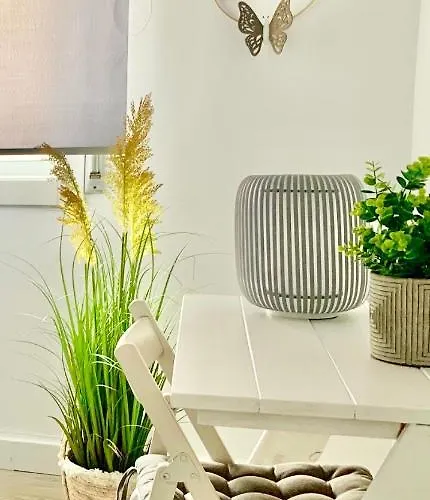 Daire Grey House - Feel The Vibe Vigo